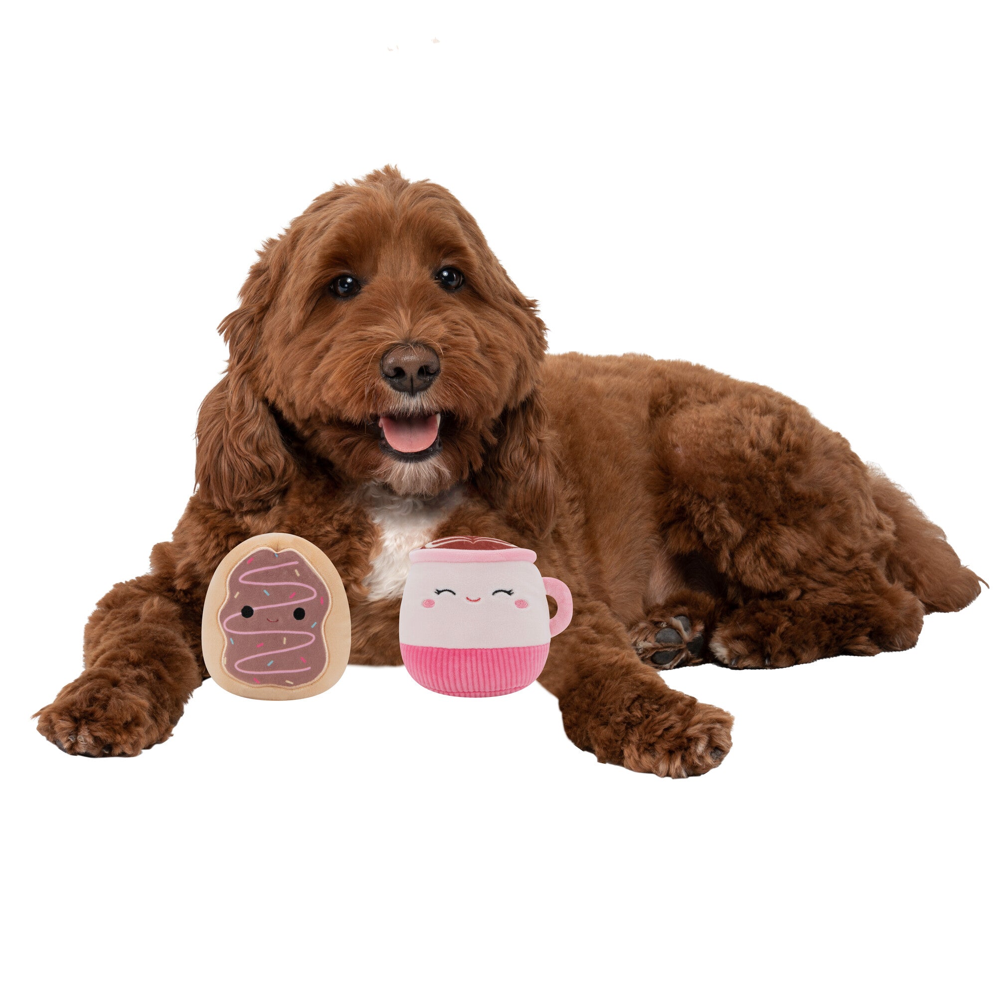 JPT0298-3.5in-Squishmallows-Cafe-Emery_Deja-2-PackSqueakyPlushDogToys-wdog-lpr.jpg