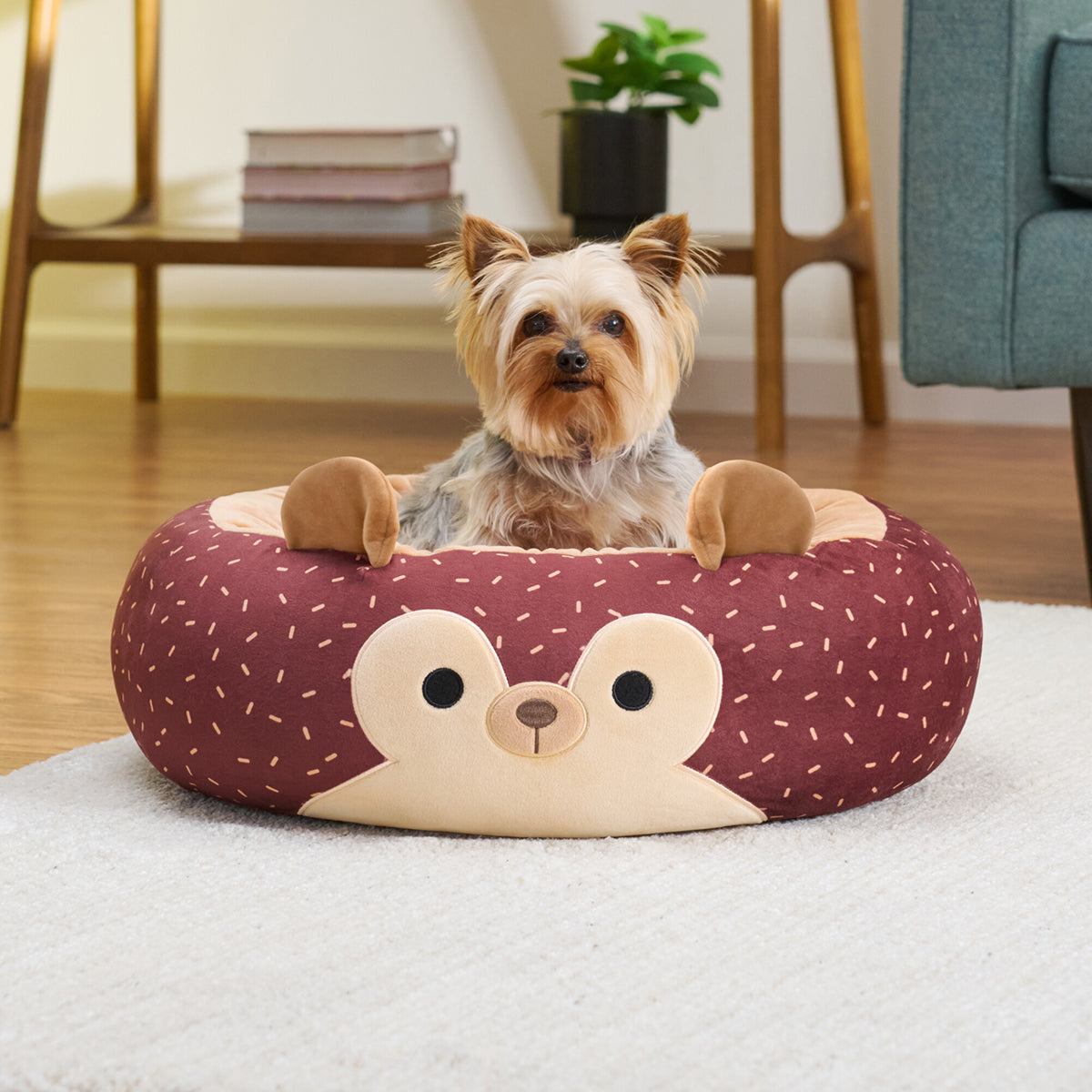 JPT1191_Squishmallows-Pet-Bed_Hans-the-Hedgehog_Lifestyle_v5_lpr.jpg