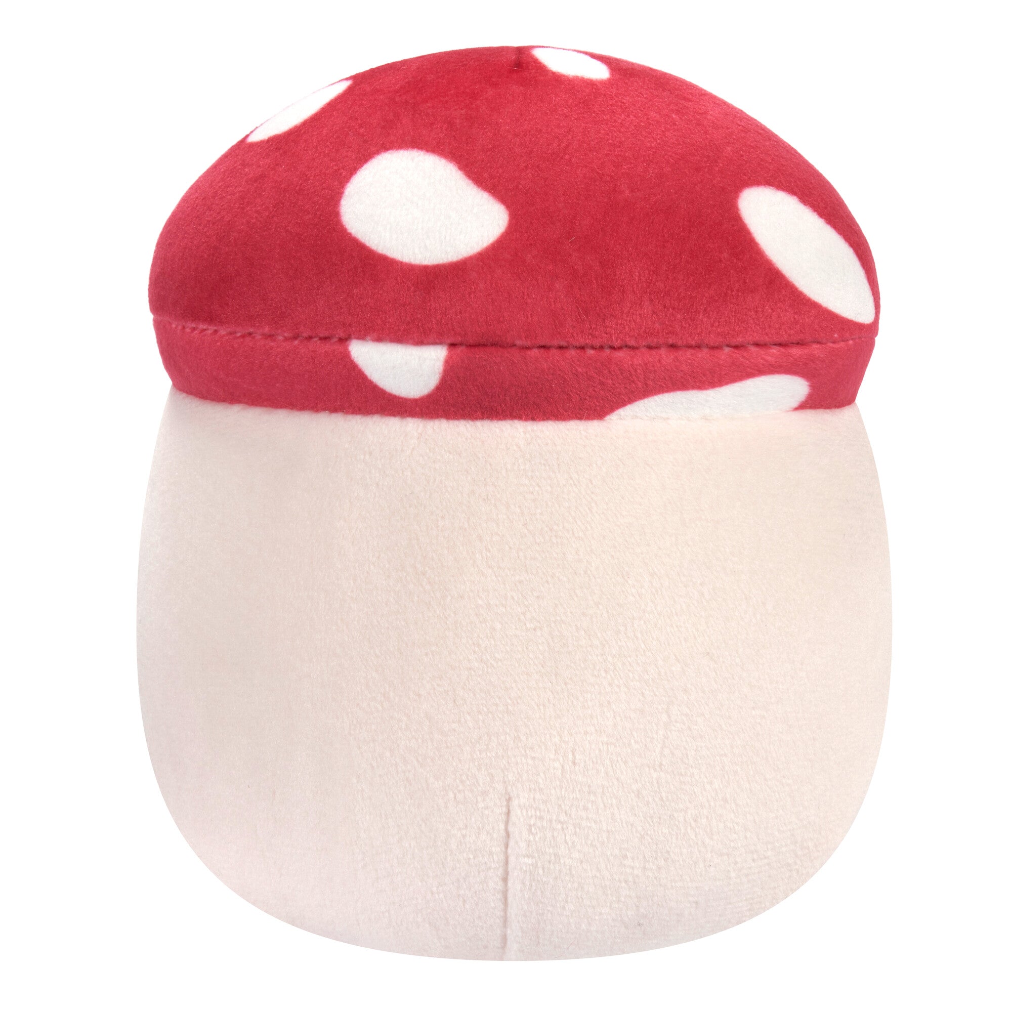 SQCR03979-Squishmallows-Mushroom5pk-5InchLittlePlush-Malcolm-OP-Back-lpr.jpg
