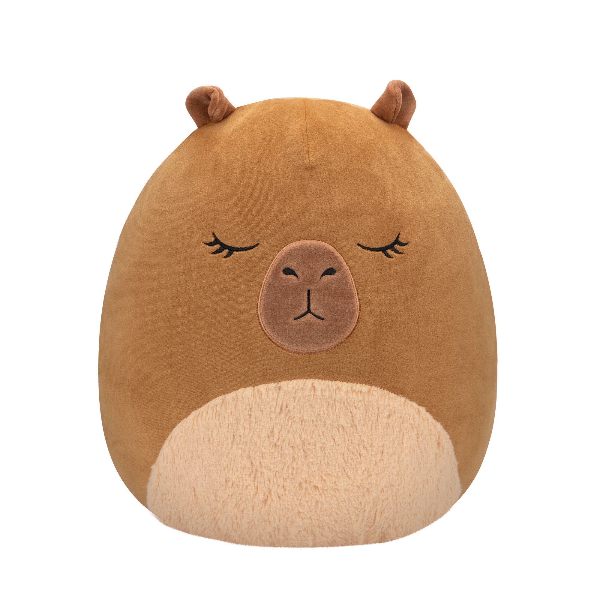 SQCR05557SQK-LargePlush14_Squishmallows-Lijjian-BrownCapybara-Front-lpr.jpg