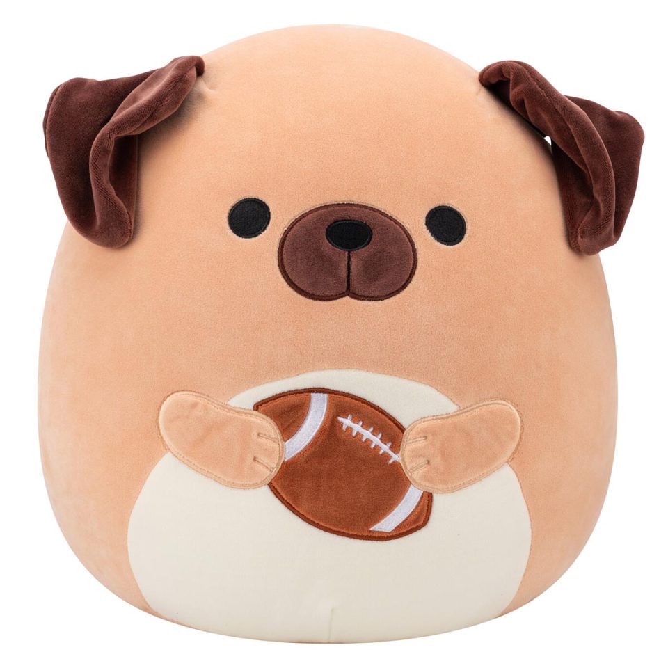 14-Inch Daryl the Brown Dog Holding Football
