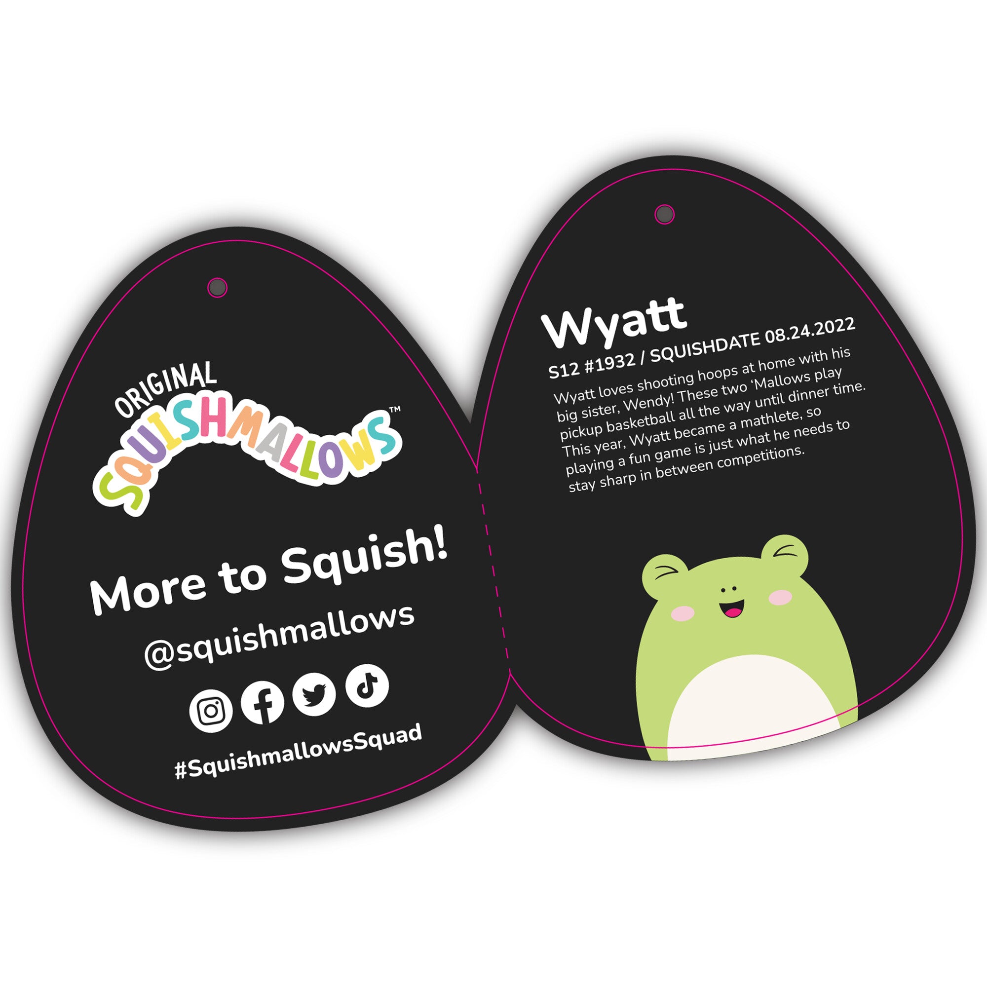 Squishmallows-12in-Wyatt-Laughing-Green-Frog-SQCR00235-TagInside-lpr.jpg